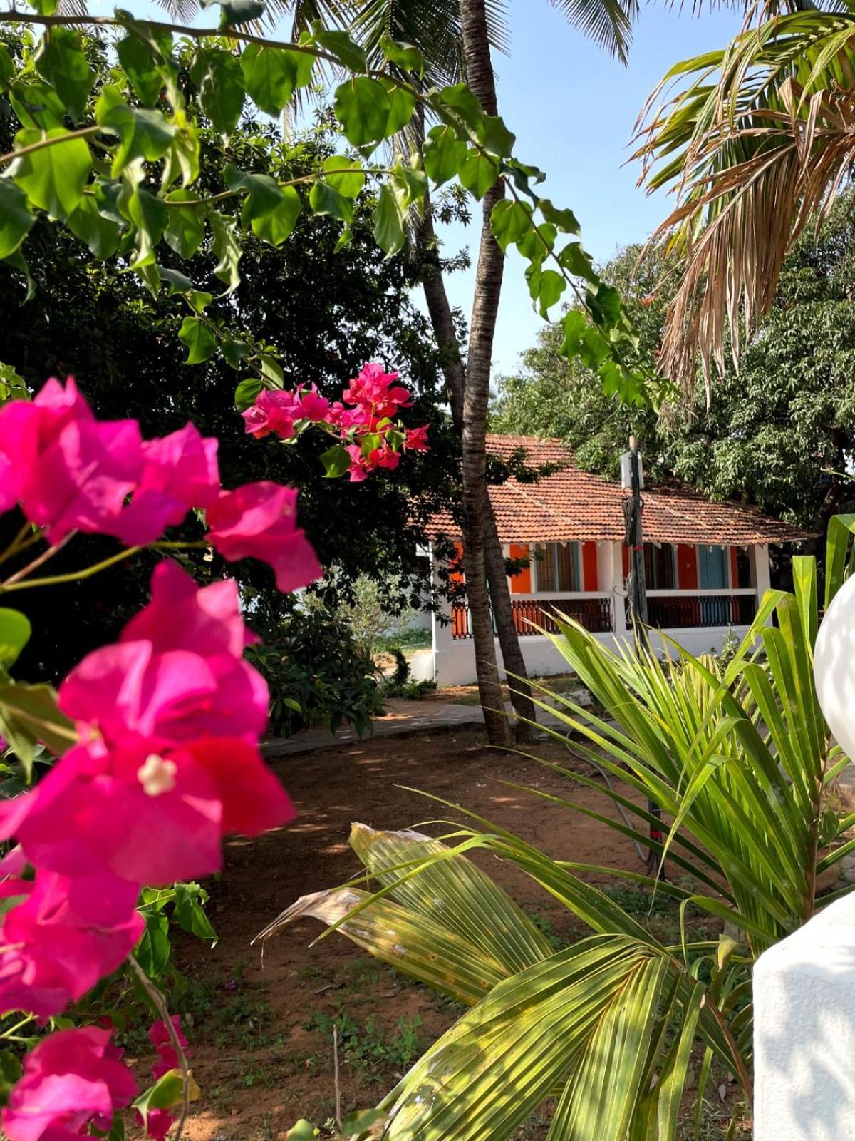 Papilio Beach Front Cottages-Tbv Baga Eksteriør bilde